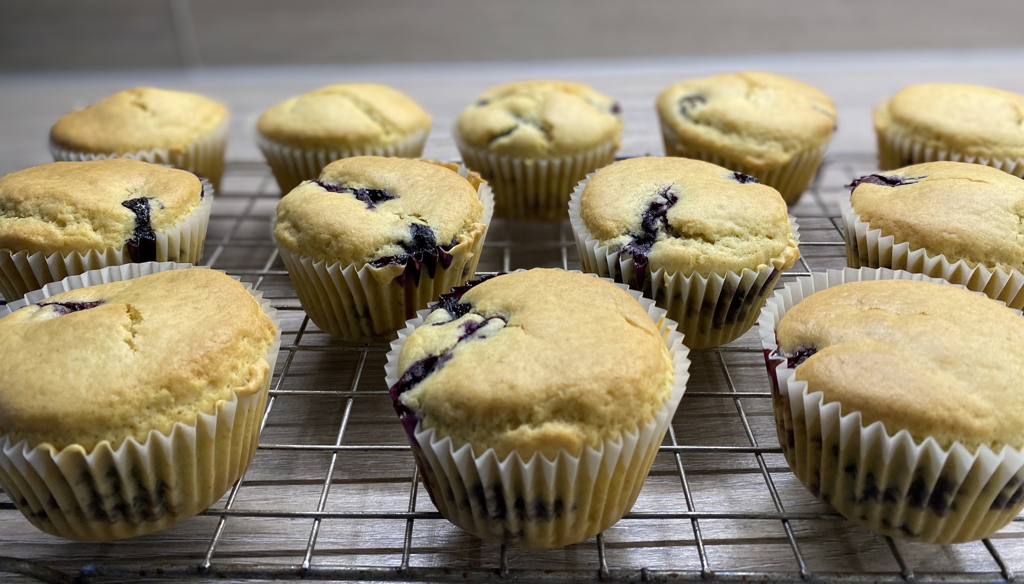 Blueberry muffins