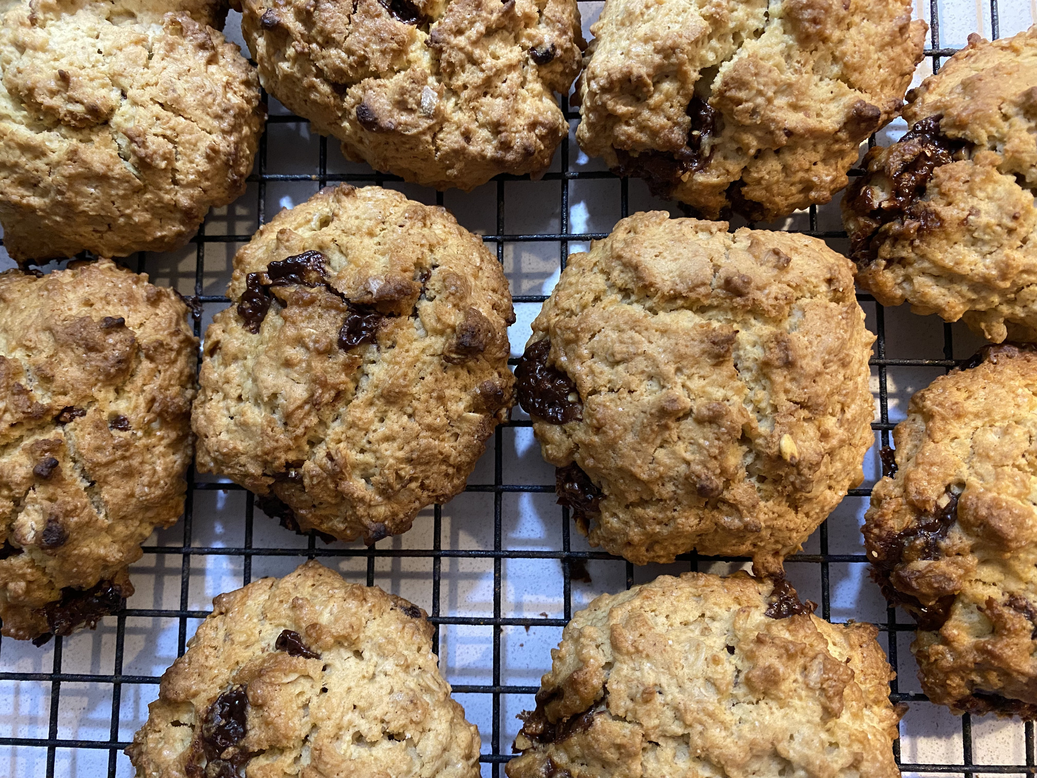 Chocolate chip oat cookies