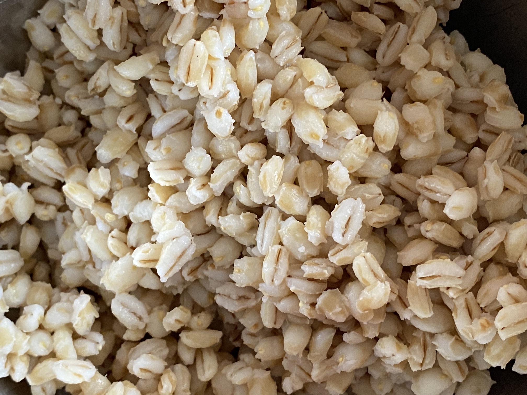 Pearl barley