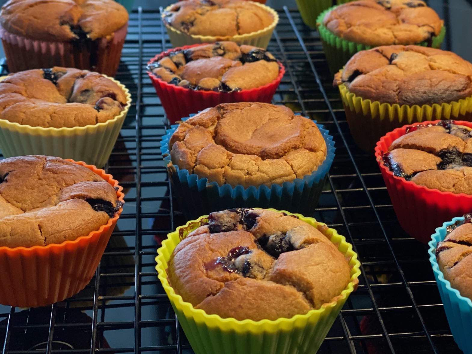 Sourdough blueberry muffins