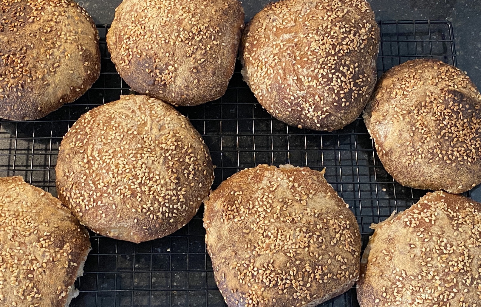 Sourdough sesame buns